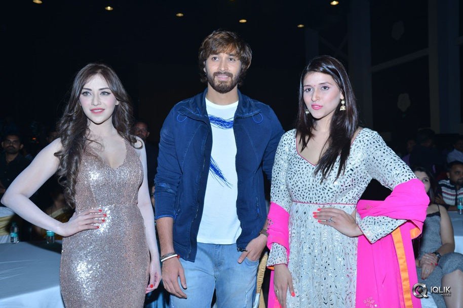 Rogue-Movie-Audio-Launch